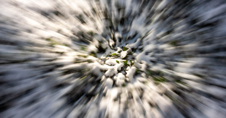 A leaf on a snowy surface with the lens intentionally zoomed during the exposure. with